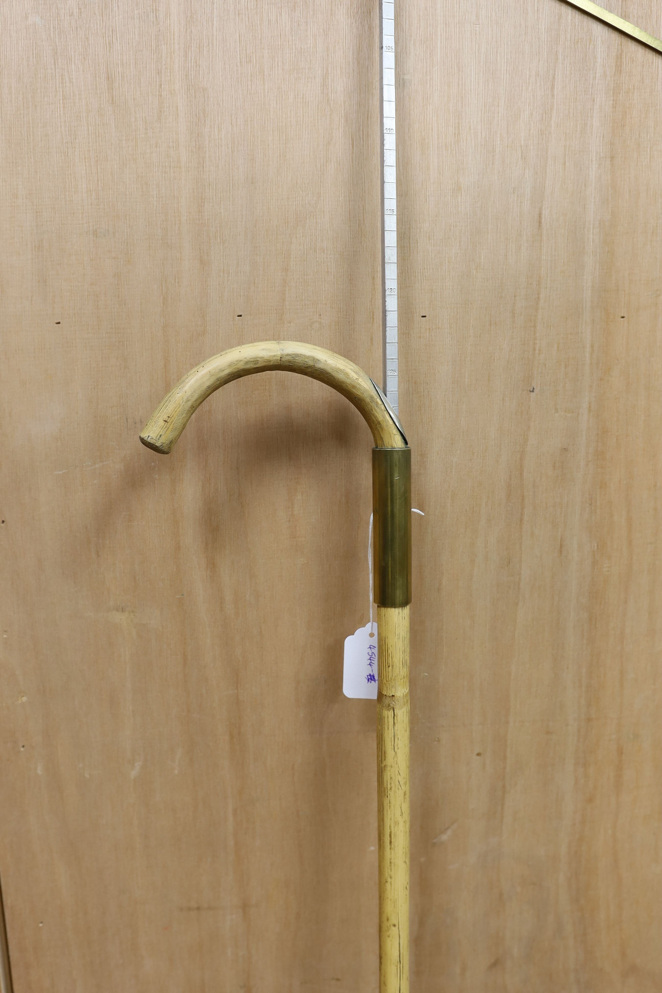 A horse measuring walking cane